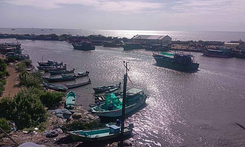 Mechanised boats venturing into the sea from Nagapattinam 