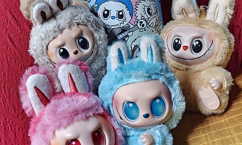 Labubu mania hits Chennai: The toy everyone’s talking about
