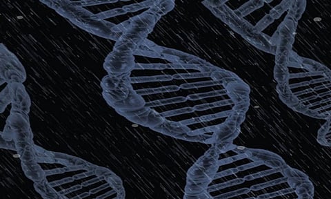 Genetic breakthrough: Gene editing could save species on brink of extinction