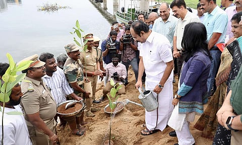 Thangam Thennarasu inaugurates mangrove plantation drive at Adyar Estuary