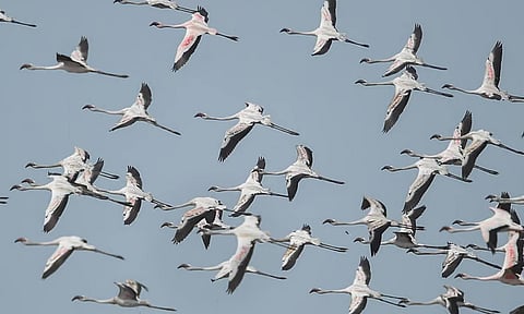 Representative Image (PTI) 