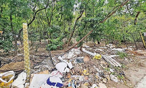 Food waste, banned plastic bags, cigarette buds and other trash found on the premises