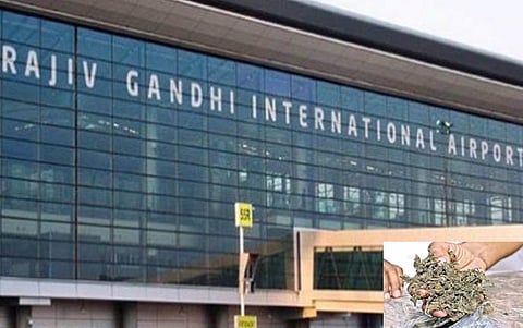 400 kg hydroponic ganja recovered from woman's luggage at Hyderabad airport (PTI) 