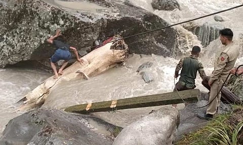 Visuals from the spot (X) 