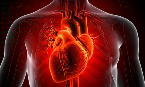 Representative Image (IANS)