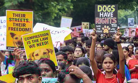 Hundreds of Animal lovers and activists gathered at Egmore, for a peaceful march demanding protection and rights for community dogs (Photo: Hemanathan M) 