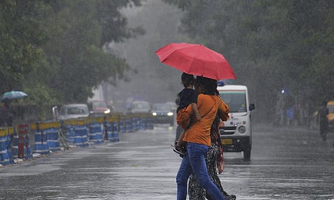 Representative image (ANI)