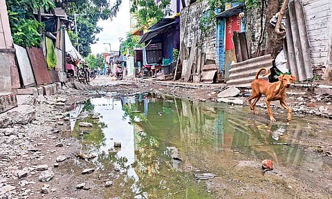 Foul odour emanates from stagnant sewage water on Nethaji Nagar First Street in Vyasarpadi