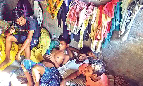 TN eyes comprehensive database of guest workers