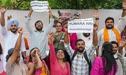 The SC on Friday modified its August 11 direction prohibiting release of stray dogs from dog shelters in Delhi-NCR, and said the picked up canines be sterilised, vaccinated and released back in the same area (PTI) 