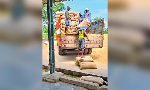 Collected paddy at a DPC being loaded on to a truck 