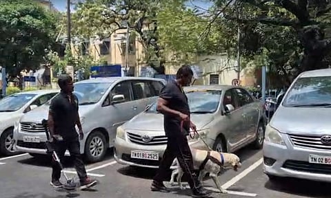 Visual from the spot 