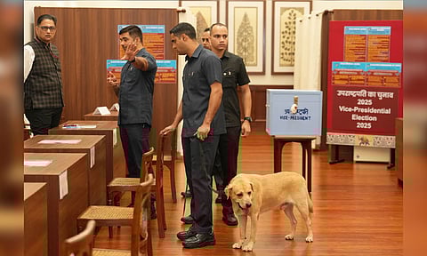 Voting began for the vice presidential poll on Tuesday