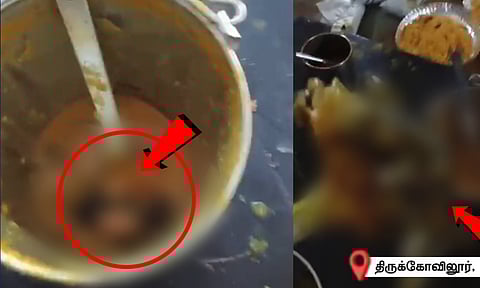 Rat found in Sambar (Thanthi TV)
