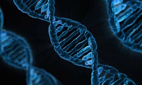 1% of people don’t have sex. New research shows it may be partly genetic