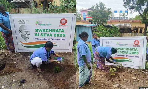 Southern Railway plants 1,500 saplings at major stations in Chennai