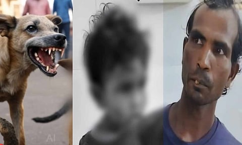 Krishnagiri dog bite