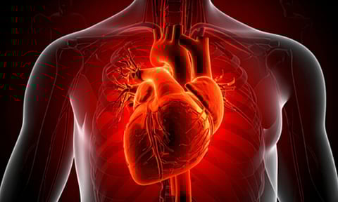 Cardiovascular diseases (IANS)