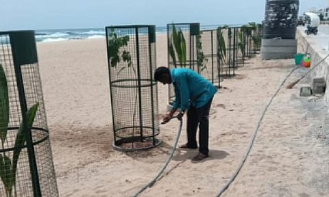 The Greater Chennai Corporation (GCC) has planted 250 tree saplings on Palavakkam Beach (Photo: X-@chennaicorp)