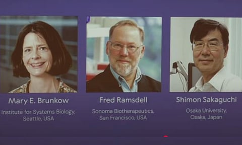 Mary E Brunkow, Fred Ramsdell and Shimon Sakaguchi won (Photo: YouTube/ The Nobel Prize)