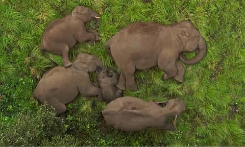 Representative image (Photo: X/SupriyaSahuIAS)