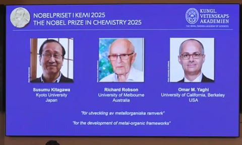 Susumu Kitagawa, Richard Robson and Omar M Yaghi