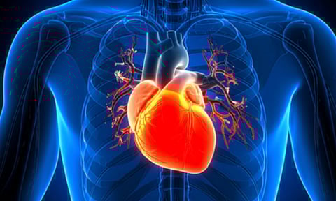 Long Covid patients suffer from heart rhythm disorder (IANS)