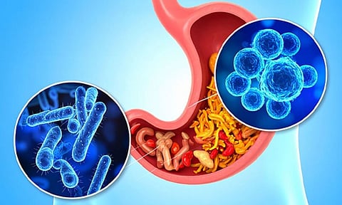 Representative Image (Photo: IANS)