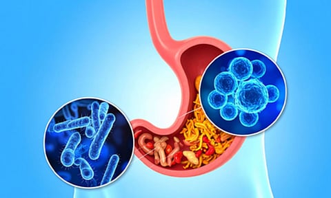 Representative Image (IANS) 