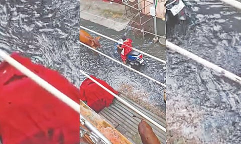 A woman wading through rainwater mixed with sewage