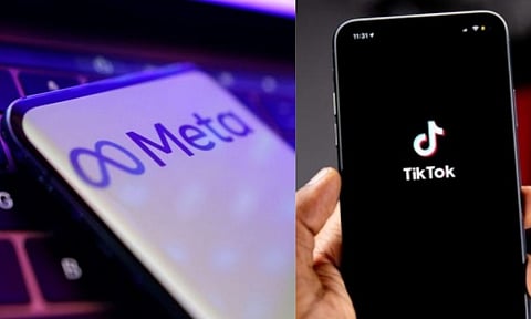 Meta, Tik Tok (IANS, ANI) 