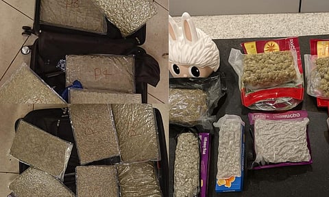 Seized Rs 10 crore worth of hydroponic ganja