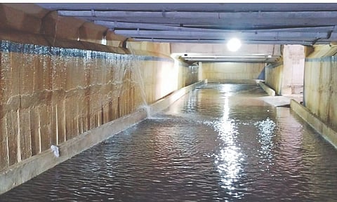 Visuals from the spot