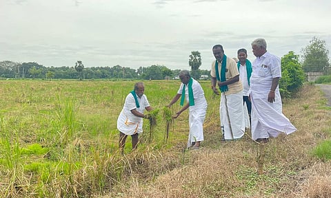 Farmers with damaged standing crops in Tiruvarur on Monday
