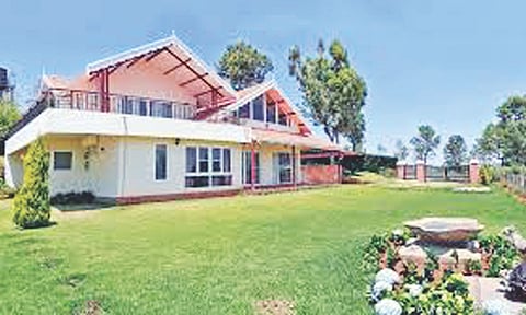 Nilgiris tea estates not realty hotspots: Ex-bureaucrat flags violations