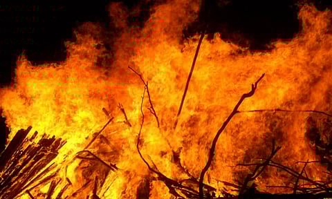 Representative Image (Wikimedia Commons) 