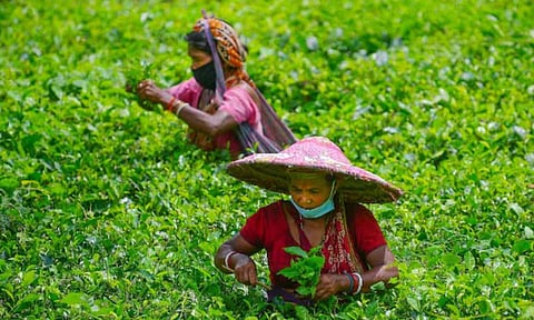 Representative Image (PTI) 