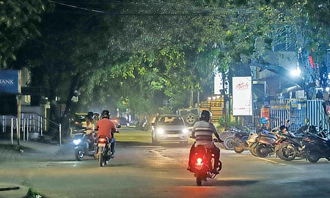  Overgrown tree branches covering streetlights (View from the spot) 