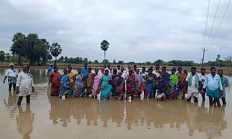 Farmers protesting in an inundated paddy field at Nagapattinam on Monday 