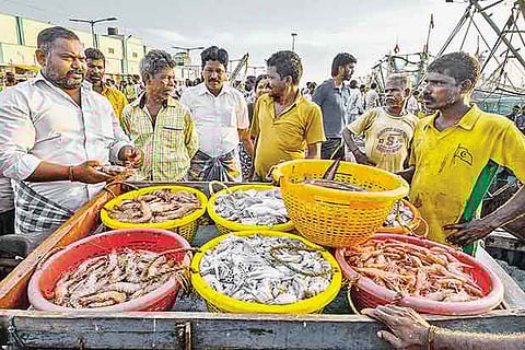 Kasimedu market