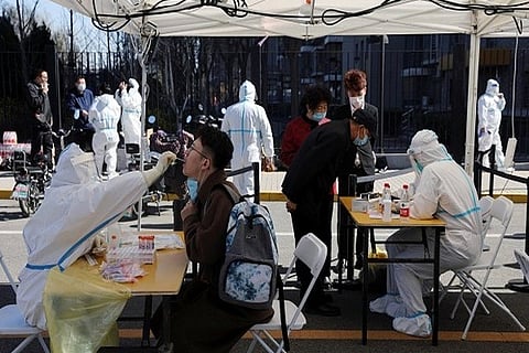 Strict lockdown policy cut down China's GDP by half