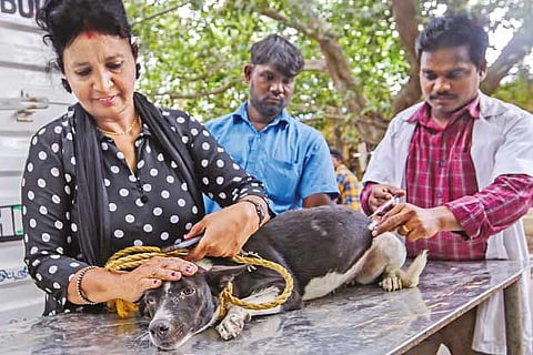 Representative image