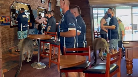 Screengrab from the video