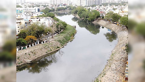 Cooum river
