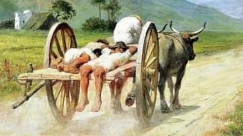 Image tweeted by Anand Mahindra