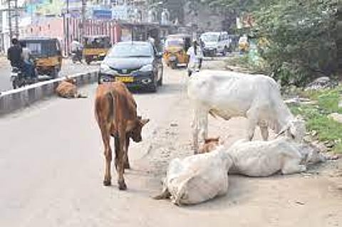 Representative image