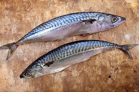 Representative image (File Photo)