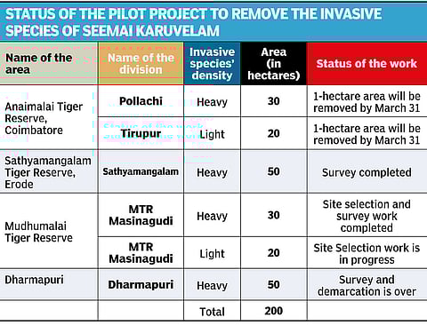 Graphical representation