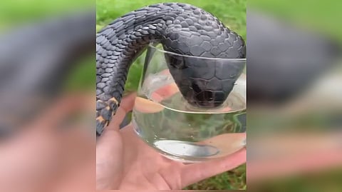 Screengrab from the video