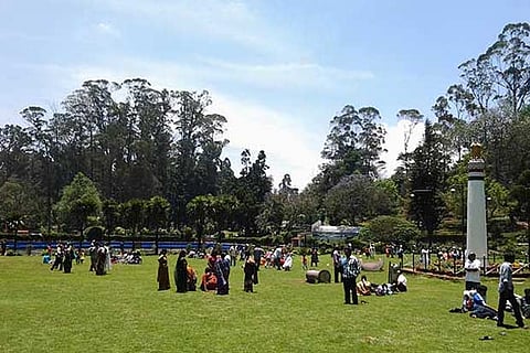 The hill station is gearing up fast for the much-awaited annual ?Kodai Vizha? in the coming days.